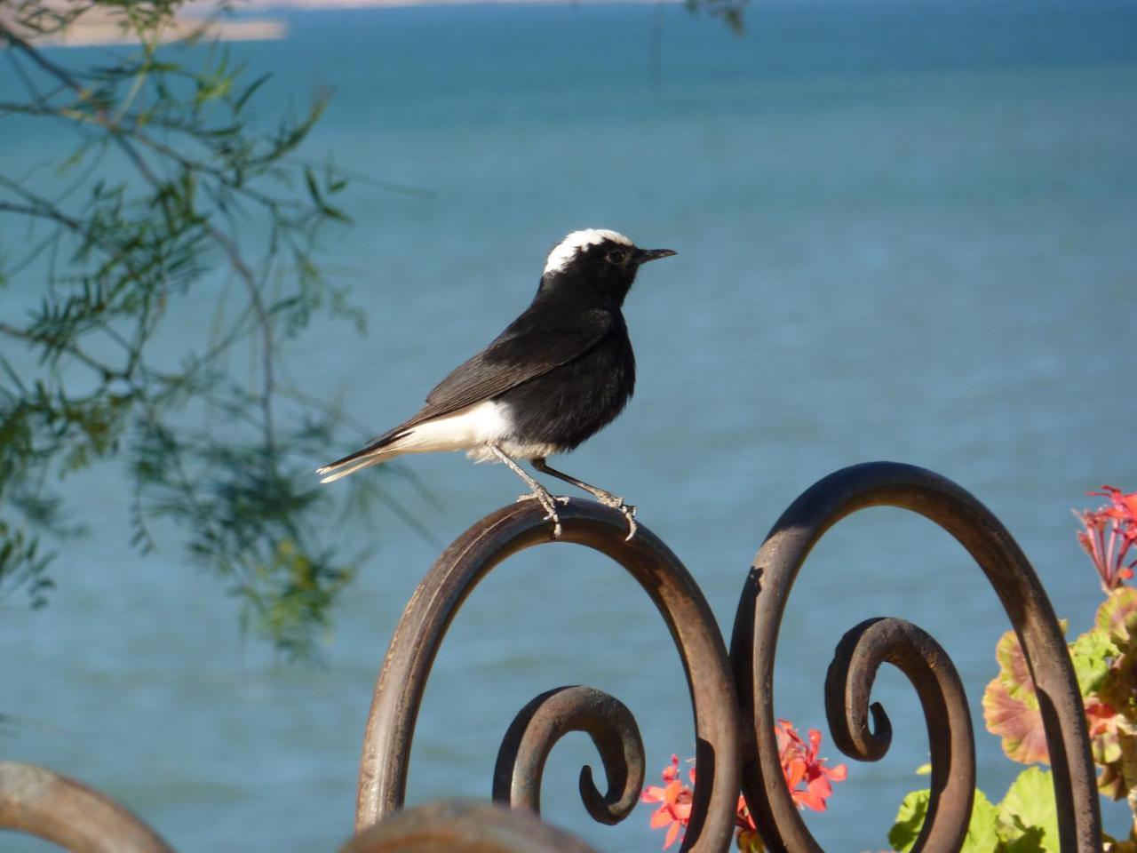 Afeggou Les Tourmalines Bed & Breakfast エクステリア 写真